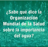 &iquest;Qu&eacute; dice la organizaci&oacute;n mundial de la salud?